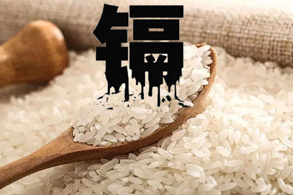 http://www.wxcxfx.com/cxyq/20190529123905-FvASg2I8EhO-7dNkjYXKm0S14Glm.jpg