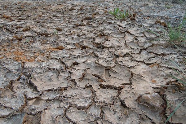 土壤盐渍化 http://www.wxcxfx.com/cxyq/20190723134528-Frr8PRVE1_aQMg0nk4cVWT8ePuZJ.jpg