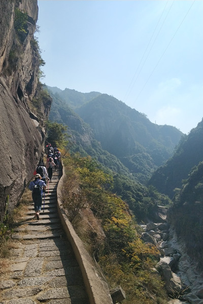 前行 /cxyq/20190930134430-FkfOPPXkJZSmjT5sjsr4ZNTwgyLX.jpg