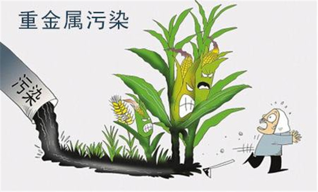 重金属土壤危害 /cxyq/20221121084750-FjUbOk5VkzNdwrNonemRZZ4Giks0.png